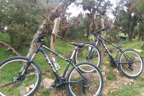 Cuenca: Bike and Electric Bike Rentals Ebikes for Rent