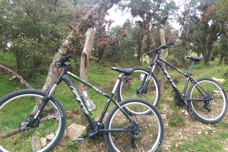 Cuenca: Bike and Electric Bike Rentals Ebikes for Rent