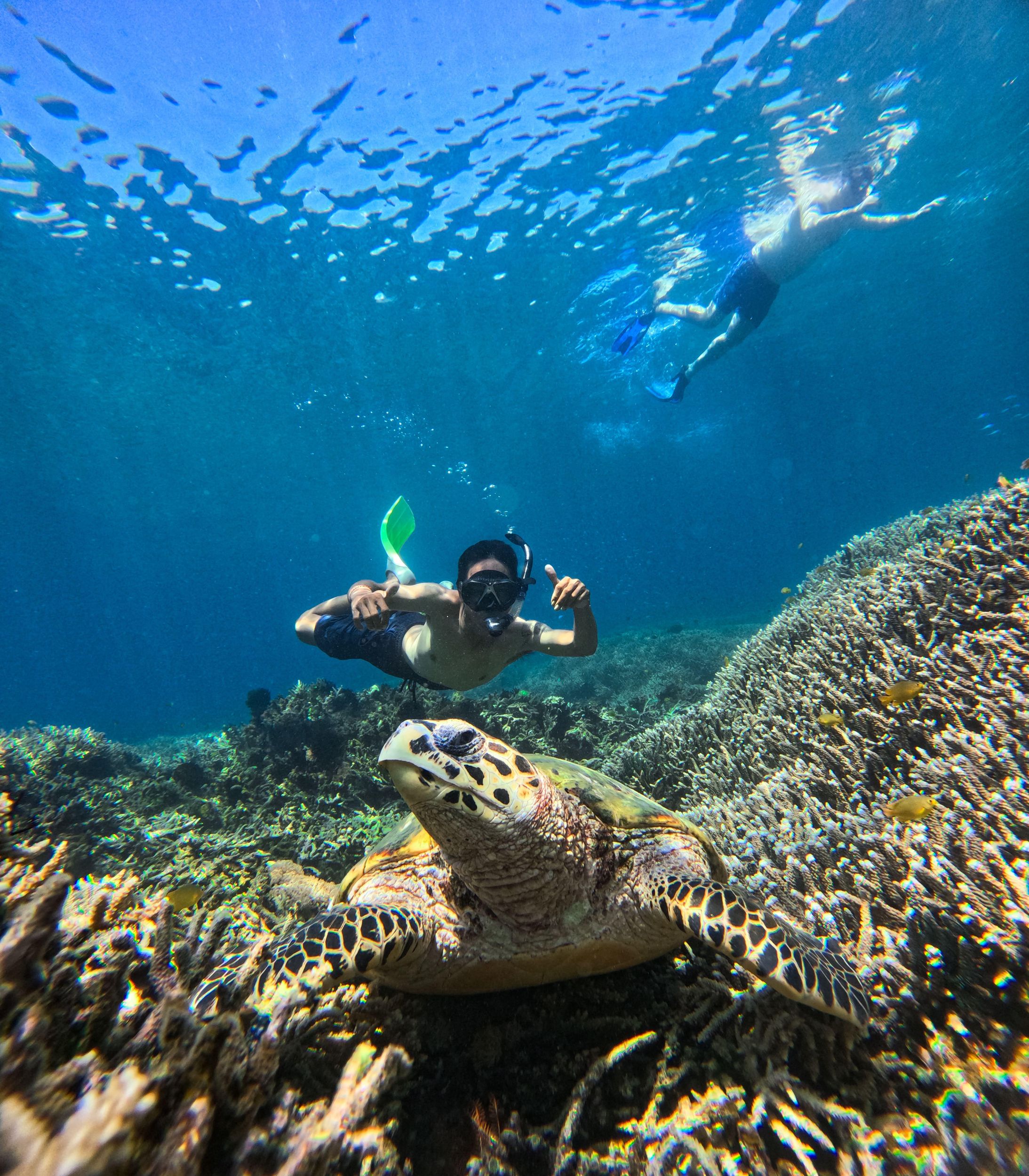 Ab Lombok: Private Schnorcheltour zu den Gili-Inseln, GoPro inklusive