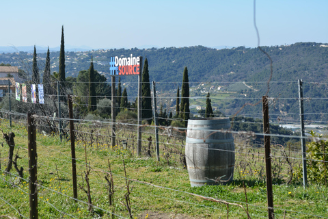 Tour and tasting at a Nice vineyard in Bellet Tour and Tasting at a Nice Vineyard in Bellet