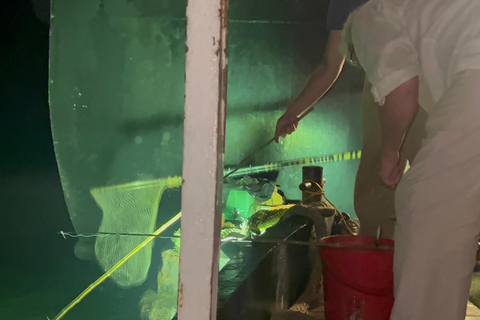 2-tägige Ha Long Bay Island Cruise Tour mit einem 3-Sterne-Kreuzfahrtschiff