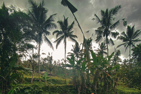 Bali: Telaga Waja White Water River Guided Rafting & Lunch White Water Rafting Trip with Meeting Point