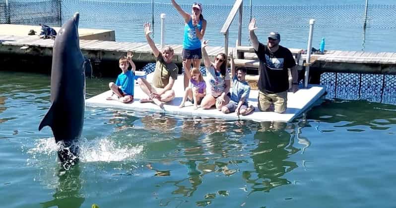 Florida Keys: Dolphin Research Center Day Tour with Lunch