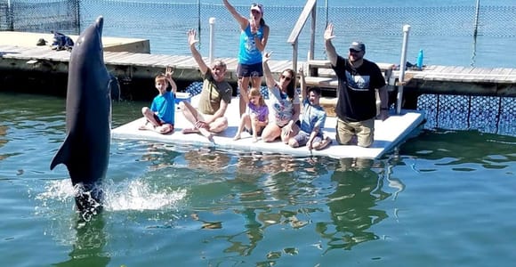 Florida Keys: Dolphin Research Center Day Tour with Lunch