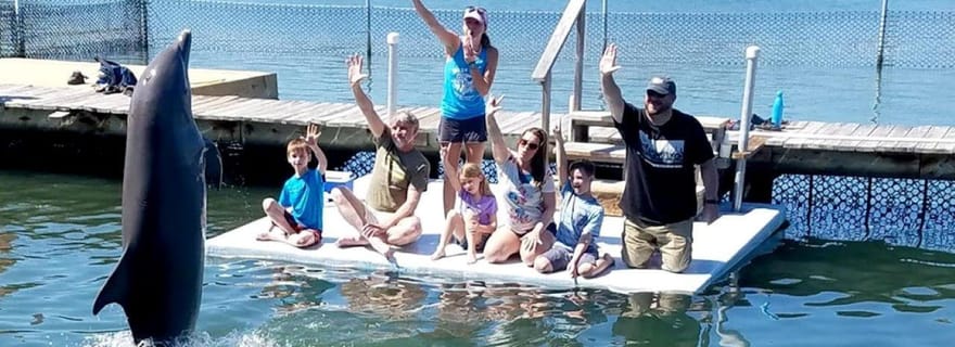 Les Keys de Floride : Excursion d'une journée au centre de recherche sur les dauphins avec déjeuner