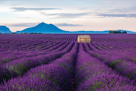 Alpi selvagge, Canyon del Verdon, villaggio di Moustiers, campi di lavanda