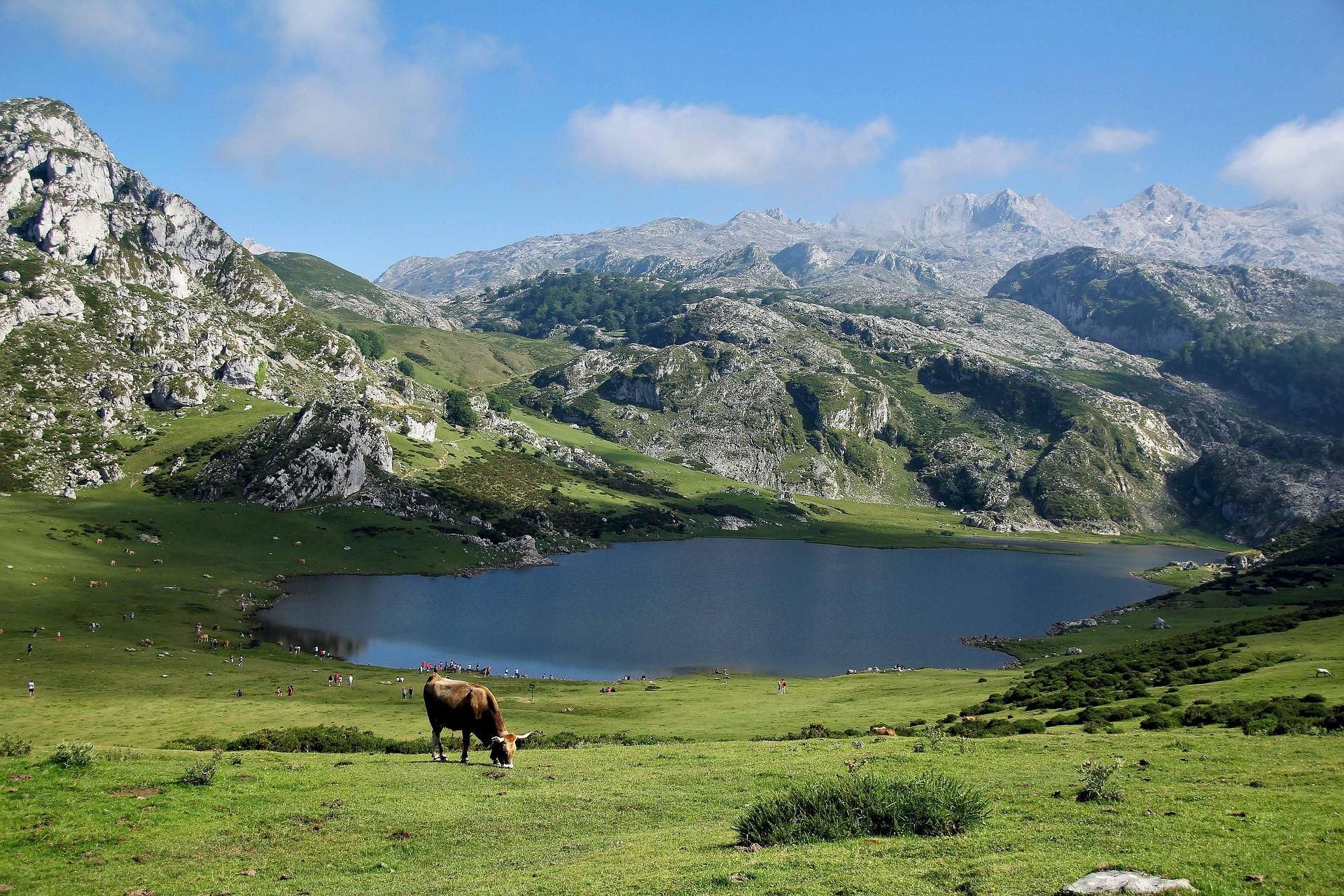 Ausflug zu den Seen von Covadonga und Cangas de Onís in kleiner Gruppe