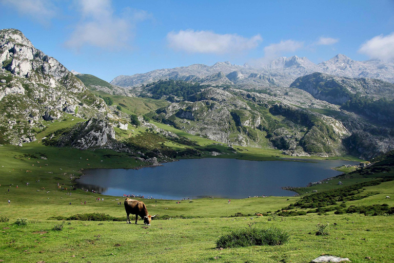 Small-Group Excursion to the Lakes of Covadonga and Cangas de Onís Departure from Gijón