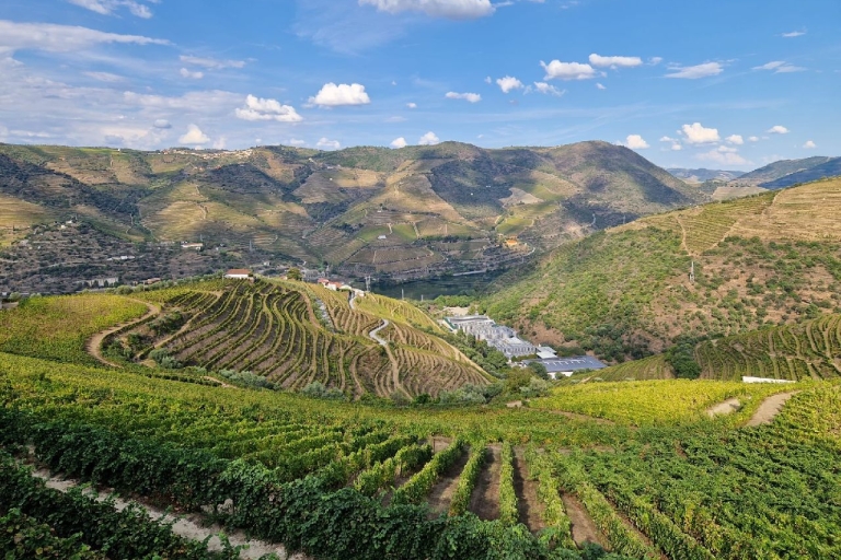 Prywatna wycieczka premium po dolinie Douro, piwnica z winami i lunchPrywatna wycieczka w języku angielskim