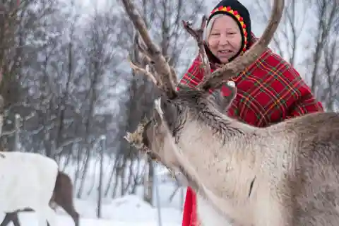 Svolvær: Sami Culture and Reindeer Experience