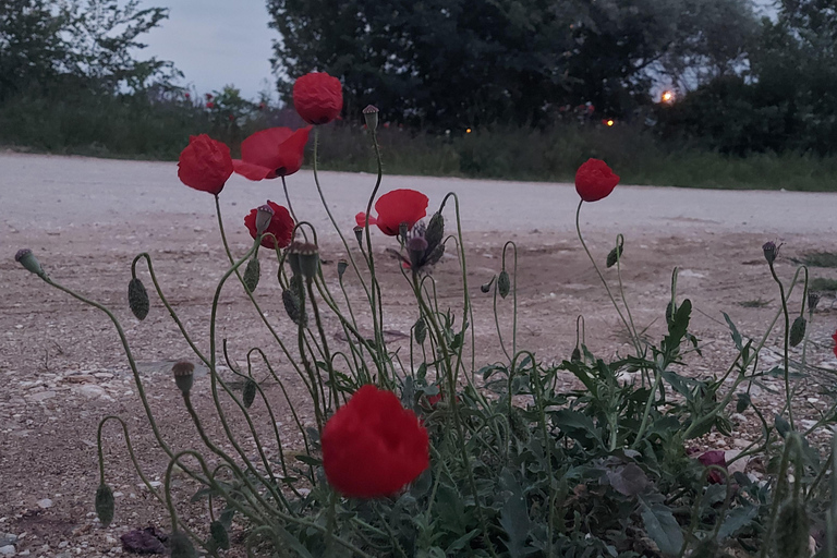 Skopje: Struga and Vevcani Tour