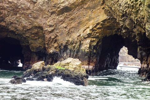 FD: Ica, Paracas - Ballestas Islands - Huacachina Excursion