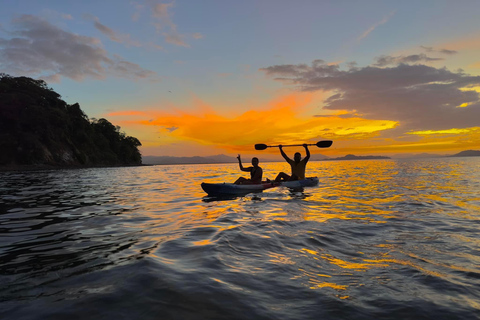 Tenerife: Tour guidato in kayak alla ricerca di tartarughe e delfini