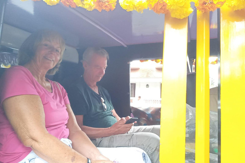 Kochi: Sightseeing Tuk-Tuk Tour med upphämtning från kryssningsfartyg