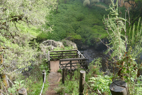 Entdecke Aberdare: Big 5, Wasserfälle und Camping in der Wildnis