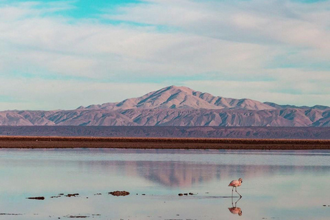 Desierto de Atacama: Refrescante Flotación en Laguna Cejar y Puesta de Sol