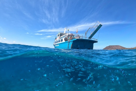 Vanaf Corralejo: toegang Isla de Lobos en snorkelen