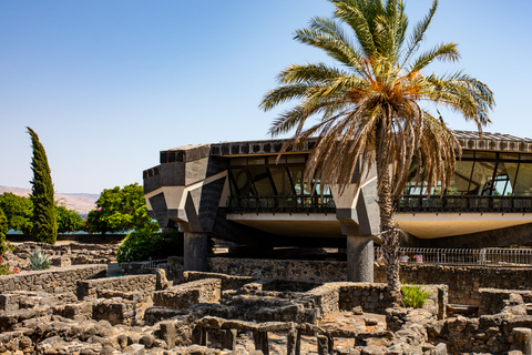 Au départ de Tel Aviv : Excursion d&#039;une journée en Galilée