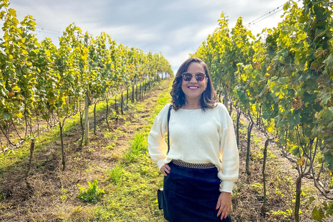 Tour particular na Rota do Vinho em São RoquePasseio particular na Rota do Vinho em São Roque