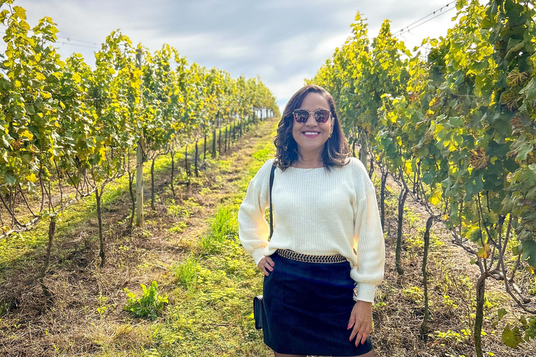 Private Tour on the Wine Route in São Roque