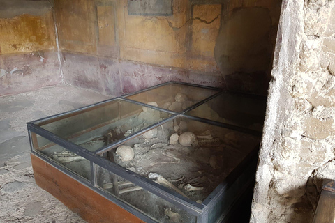 Z Rzymu: 1-dniowa wycieczka do PompeiZ Rzymu: Jednodniowa wycieczka do Pompei