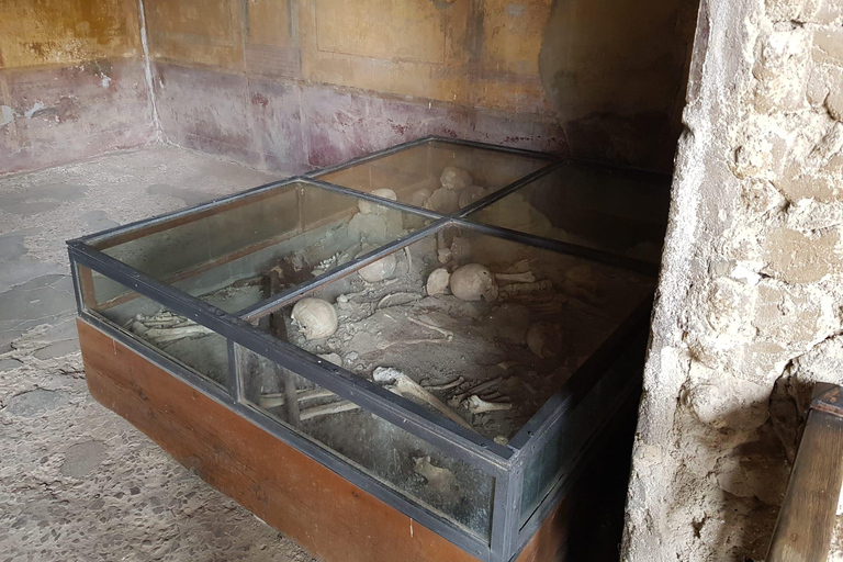 Da Roma: Escursione di un giorno a PompeiDa Roma: Gita di un giorno a Pompei