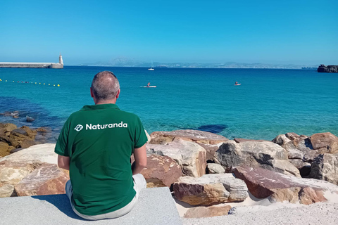 Excursie naar Tarifa, Baelo Claudia, Bolonia en Vejer de la Frontera met gidsUitstapje naar Tarifa, Baelo Claudia, Bolonia en Vejer de la Frontera met gids