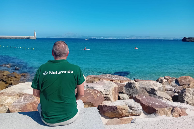 Excursie naar Tarifa, Baelo Claudia, Bolonia en Vejer de la Frontera met gidsUitstapje naar Tarifa, Baelo Claudia, Bolonia en Vejer de la Frontera met gids