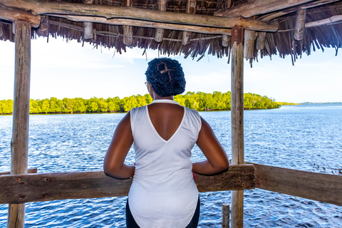 Exploring Nature's Treasures: A Private Day Trip in Diani Exploring Nature's Treasures: A Day Trip in Diani