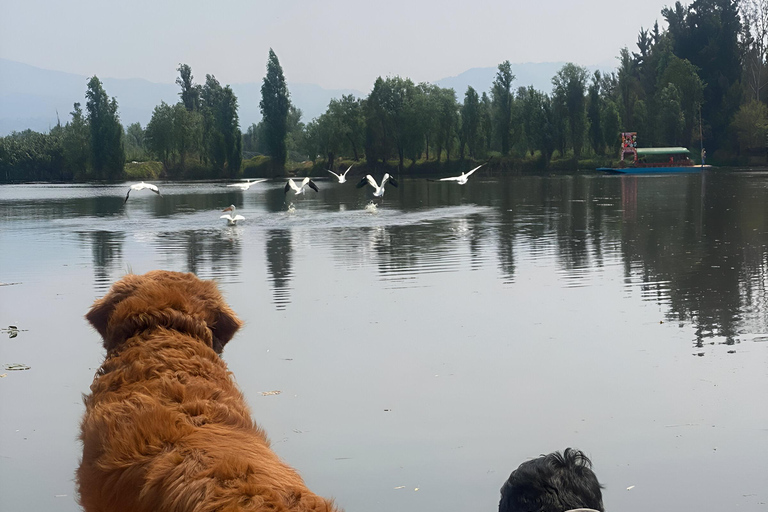 Xochimilco Marvels: Uma viagem culinária e cultural