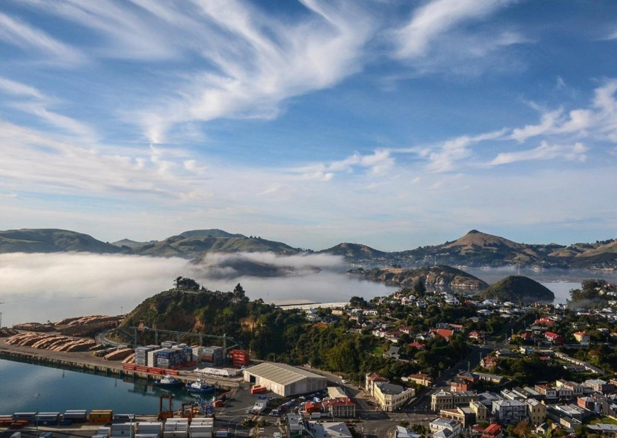 Dunedin: Städtetour mit Baldwin Street & Hafenblick