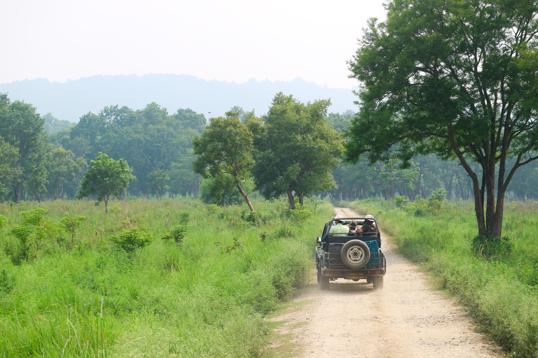 Kathmandu/Pokhara: 2-daagse Chitwan Safari privétour met de autoVanuit Kathmandu/Pokhara: 2-daagse Chitwan safari tour per auto