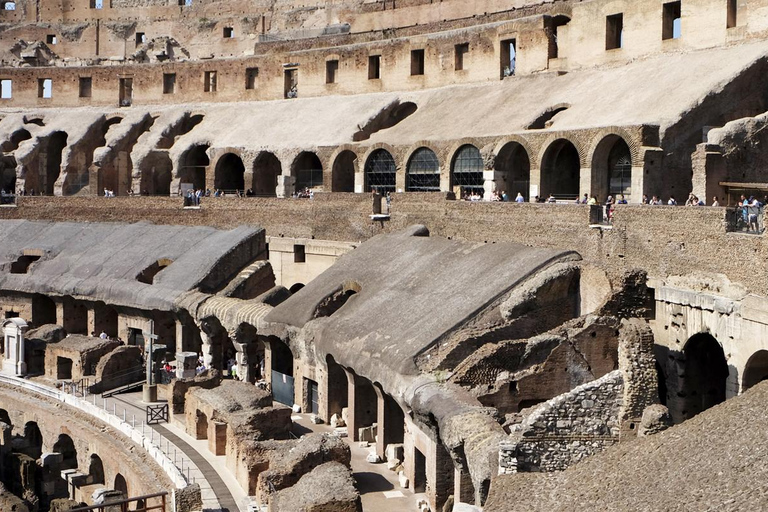 Rome: Colosseum-Forum-Palatine access & Introductory Video Option with Arena Access