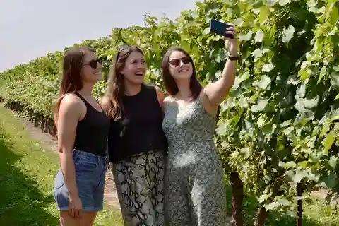 Toronto: Niagara-on-the-Lake, Wine Tasting & Chocolate Tour