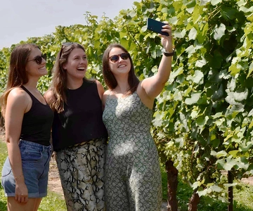 Toronto: Niagara-on-the-Lake, Wijnproeverij & Chocolade Tour