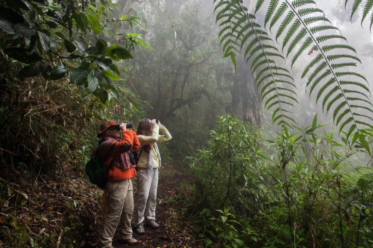 Excursión de 5 días a la Selva Amazónica