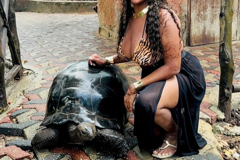 桑给巴尔：香料之旅、石头城和监狱岛（含午餐）香料农场、石头城（不含监狱岛入场门票）