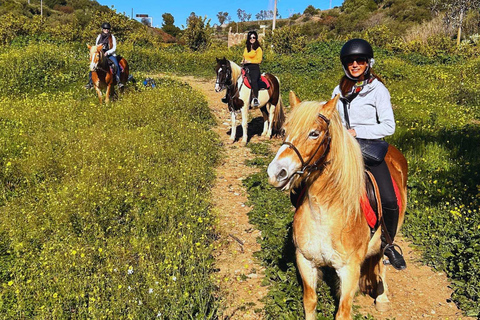 Catania: Guided Horseback Ride in Misterbianco Countryside