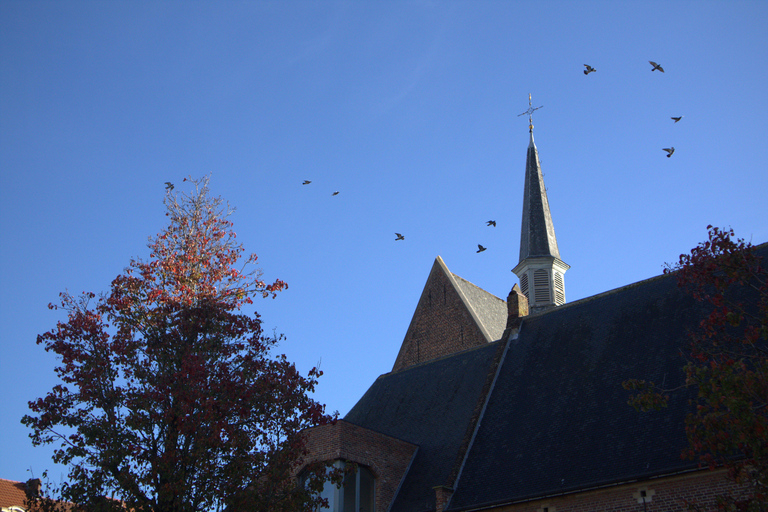 Leuven Bike Tours: Highlights & Beyond + café + bike rental The Leuven Highlights & Beyond (public tour)