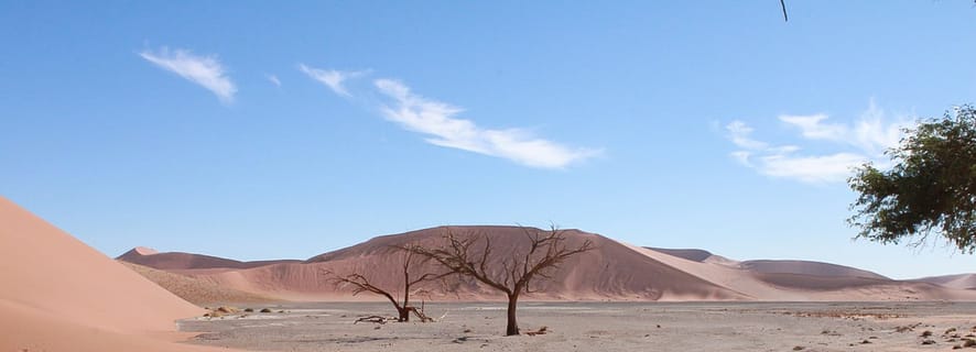 The BEST Okaukuejo Tours and Things to Do in 2022 - FREE Cancellation ...