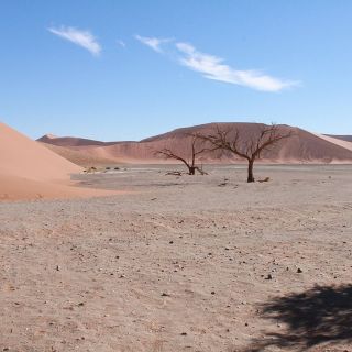 From Windhoek: Namib Desert and Etosha National Park Tour
