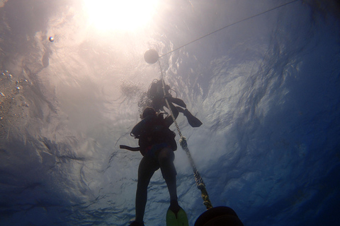 Cancun: 2-Tank Dive for Beginners with MUSA and Reef Dive
