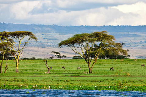 The Great Rift Escapade: Horseback Safari & Crescent Island