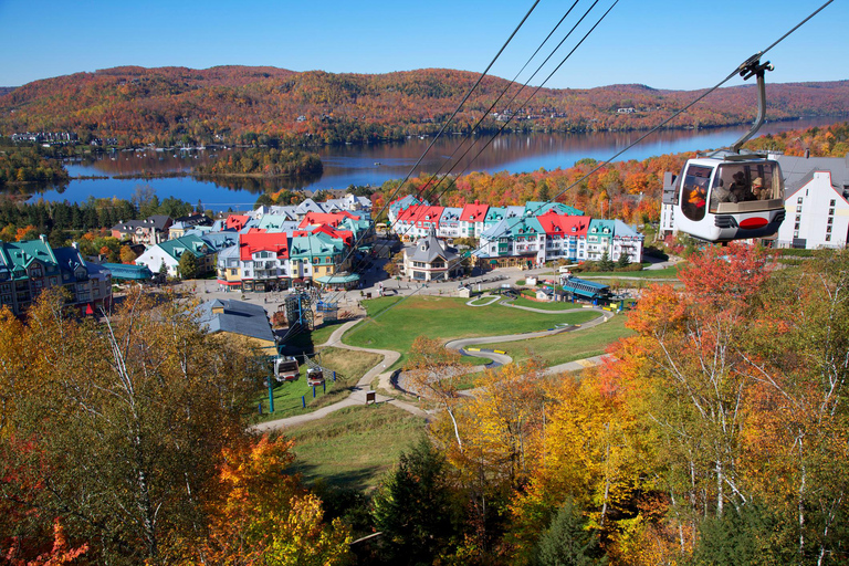 From Toronto: Blue Mountain Best Value Tour