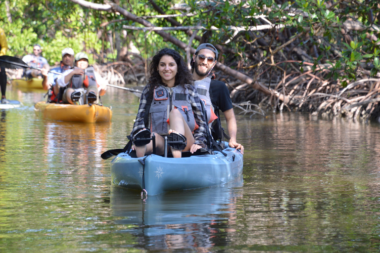 From Naples, FL: Marco Island Mangroves Kayak or Paddle Tour Easy Ride Pedal Kayak Tour