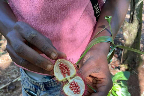 Zanzibar: Spice Farm, Jozani Forest & Salaam Cave Tour Private tour without hotel transfer