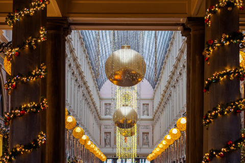 布鲁塞尔：徒步导览游布鲁塞尔：徒步导览游（不含啤酒品鉴）