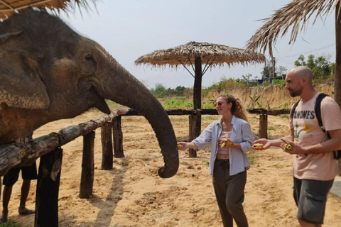 Visite du sanctuaire des éléphants et du temple de Banteay Srey au Cambodge