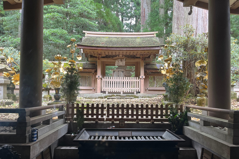 Mount Koya: Full-Day Private Guided Tour from Osaka