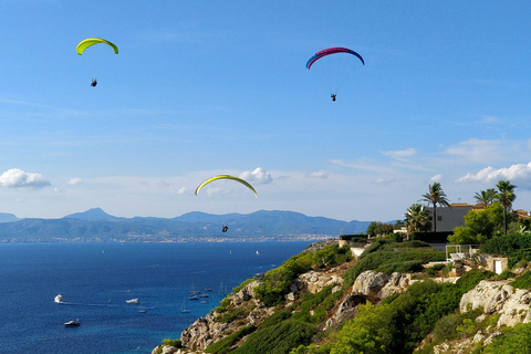 Majorque : Vol en parachute avec acrobaties et arrêt du moteurMajorque : Vol Paratrike